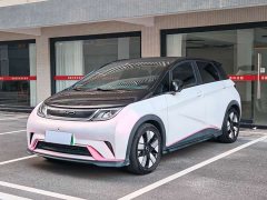 BYD Dolphin 401km Knight Edition - ფოტო 1