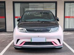 BYD Dolphin 401km Knight Edition - ფოტო 2