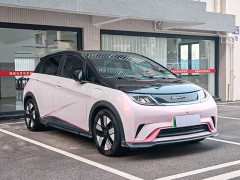 BYD Dolphin 401km Knight Edition - ფოტო 3