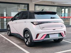 BYD Dolphin 401km Knight Edition - ფოტო 5