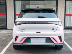 BYD Dolphin 401km Knight Edition - ფოტო 6