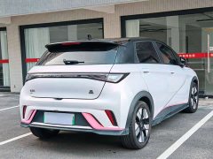 BYD Dolphin 401km Knight Edition - ფოტო 7