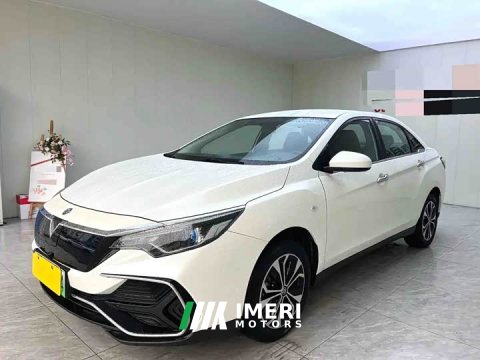 2022 Nissan Venucia D60EV Standard Range Comfort Edition - ავტომობილი ჩინეთიდან