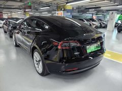 Tesla Model 3 Rear-Wheel Drive - ფოტო 9