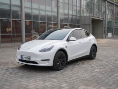 Tesla Model Y Long Range All-Wheel Drive - ფოტო 1