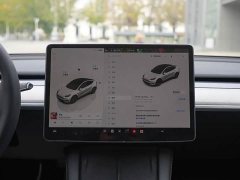 Tesla Model Y Long Range All-Wheel Drive - ფოტო 11