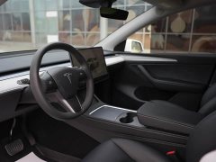 Tesla Model Y Long Range All-Wheel Drive - ფოტო 14