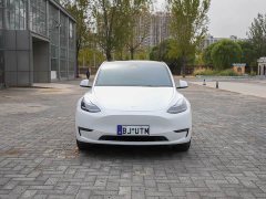 Tesla Model Y Long Range All-Wheel Drive - ფოტო 2