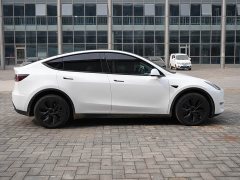Tesla Model Y Long Range All-Wheel Drive - ფოტო 4