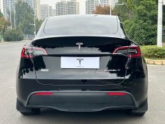 Tesla Model Y Long Range All-Wheel Drive - ფოტო 17