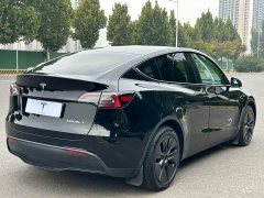Tesla Model Y Long Range All-Wheel Drive - ფოტო 18