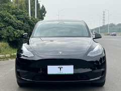 Tesla Model Y Long Range All-Wheel Drive - ფოტო 2