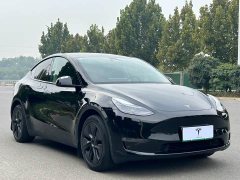 Tesla Model Y Long Range All-Wheel Drive - ფოტო 3