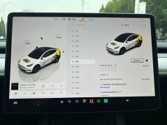 Tesla Model Y Long Range All-Wheel Drive - ფოტო 6