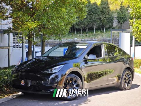 2021 Tesla Model Y Standard Range RWD - ავტომობილი ჩინეთიდან