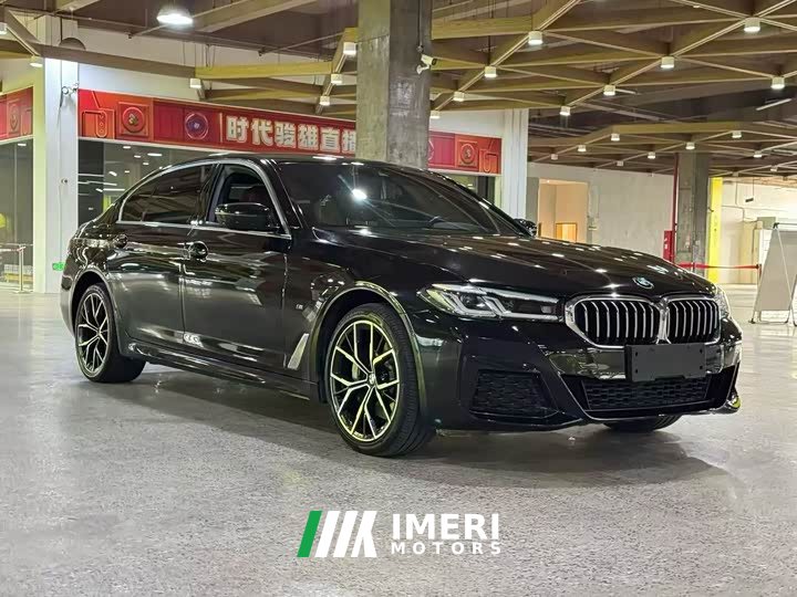 BMW 5 Series 530Li Luxury M Sport Package - автомобиль из Китая