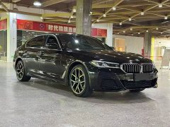 BMW 5 Series 530Li Luxury M Sport Package - фото 1