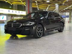 BMW 5 Series 530Li Luxury M Sport Package - фото 3