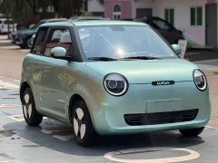 Changan Lumin 2022 210km Sweet Edition - ფოტო 3