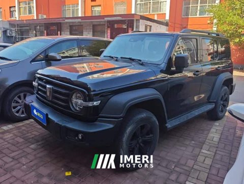 2023 Tank 300 Off-Road Edition 2.0T Challenger - ავტომობილი ჩინეთიდან