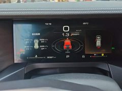 Tank 300 Off-Road Edition 2.0T Challenger - ფოტო 14