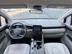Hyundai Cosutu 2021 270TGDi Leading Edition GLS - ფოტო 15