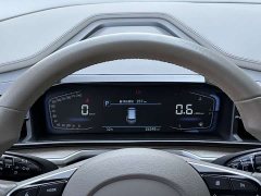 Hyundai Cosutu 2021 270TGDi Leading Edition GLS - ფოტო 19