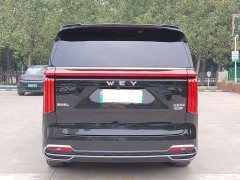 Great Wall WEY Shanshan New Energy 2023 Four-Wheel Drive Flagship Edition - ფოტო 5