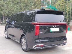 Great Wall WEY Shanshan New Energy 2023 Four-Wheel Drive Flagship Edition - ფოტო 6