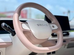 Geely Panda 2024 200km Panda Kart - ფოტო 14