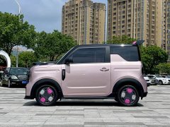 Geely Panda 2024 200km Panda Kart - ფოტო 4