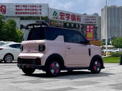 Geely Panda 2024 200km Panda Kart - ფოტო 7