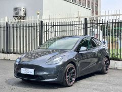 Tesla Model Y Long Range All-Wheel Drive - ფოტო 1