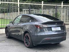 Tesla Model Y Long Range All-Wheel Drive - ფოტო 13