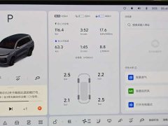 Li Auto L9 2022 Max - ფოტო 13