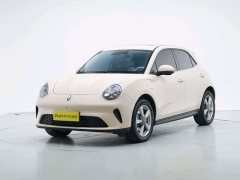 ORA Good Cat 2025 430km Luxury - ფოტო 1