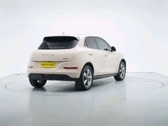 ORA Good Cat 2025 430km Luxury - ფოტო 2