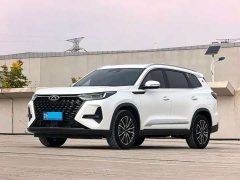 Chery Tiggo 8 PRO 2024 Champion Edition 290T FWD Peak Version 7-Seater - ფოტო 1