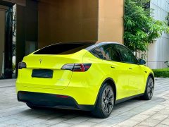 Tesla Model Y Rear-Wheel Drive - ფოტო 6