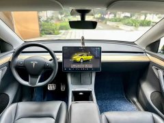 Tesla Model Y Rear-Wheel Drive - ფოტო 8