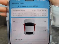 BYD Qin PLUS Champion Edition DM-i 55KM Leading - ფოტო 13