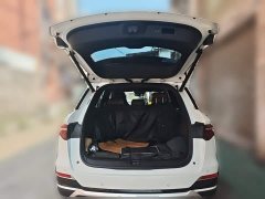 BYD Song Pro New Energy 2022 DM-i 51km Premium - ფოტო 15