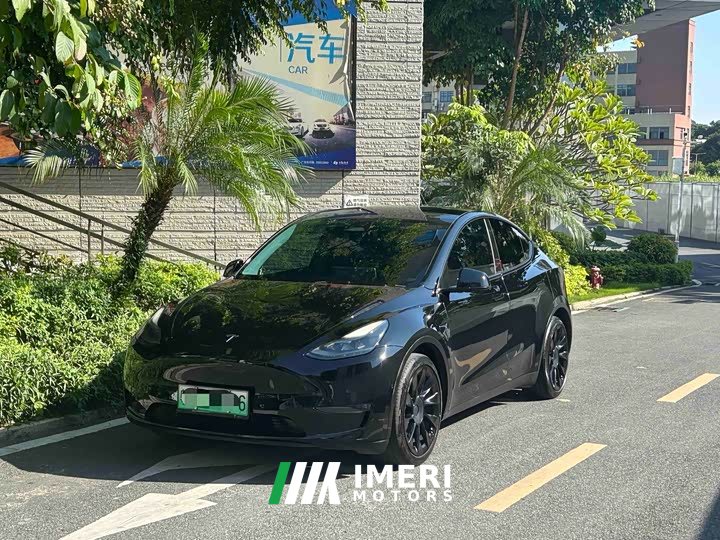 Tesla Model Y Standard Range RWD - ავტომობილი ჩინეთიდან