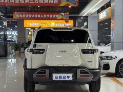 Fangchengbao Titanium 3 501KM Rear-Wheel Drive Max Edition - ფოტო 5