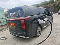 Great Wall WEY Shanshan New Energy Four-Wheel Drive Shanshan 8 - ფოტო 10