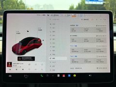 Tesla Model 3 Standard Range RWD Upgrade - ფოტო 11
