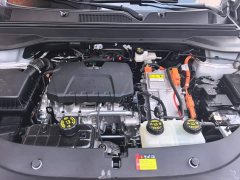 Wuling Starlight 560 New Energy Plug-in Hybrid 125km Luxury - ფოტო 10