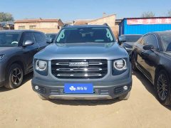 Great Wall Dachshund 1.5T DCT Two-Wheel Drive Border Collie Edition - ფოტო 2