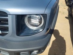 Great Wall Dachshund 1.5T DCT Two-Wheel Drive Border Collie Edition - ფოტო 5