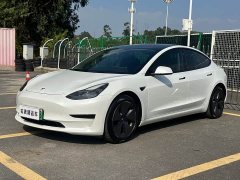 Tesla Model 3 Standard Range RWD Upgrade - ფოტო 1